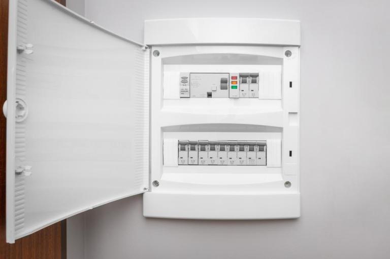 Que vérifie un professionnel lors d'un diagnostic électrique ?